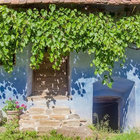 Experience Transylvania Viscri 63B Luaran gambar